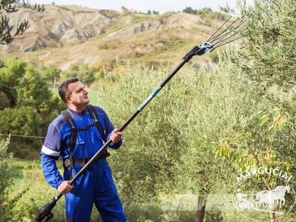 Campagnola Įrankiai genėjimui ir derliaus nuėmimui Muut maatalouskoneet