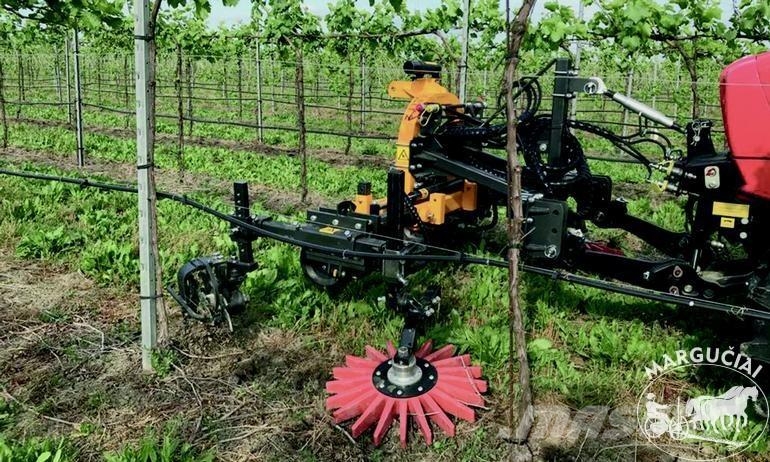 Orizzonti Technika sodams ir vynuogynams Agricultura - Outros