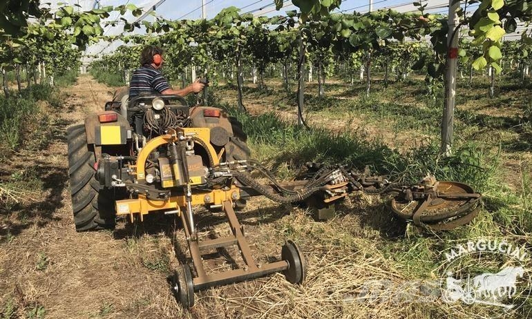 Orizzonti Technika sodams ir vynuogynams Agricultura - Outros