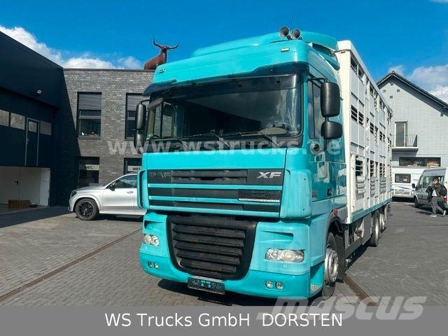 DAF XF 105/460T KABA 3 Stock Vollalu Camioane transport animale