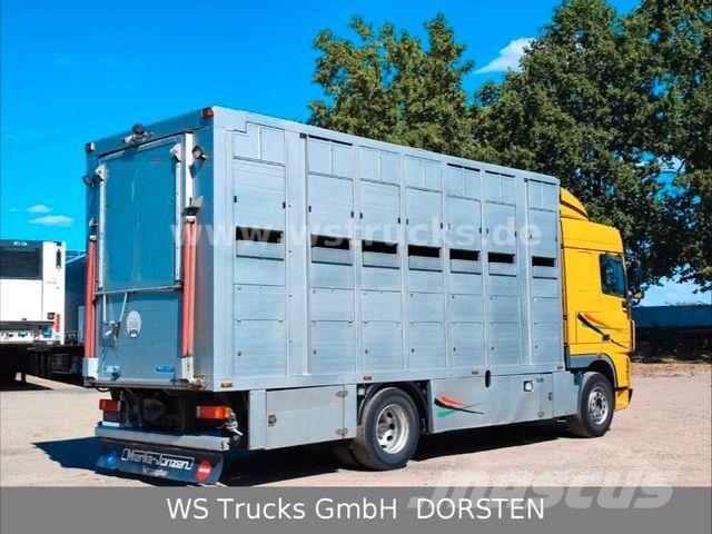DAF XF 410 SC Menke Doppelstock Tiertransporter
