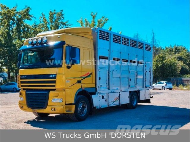 DAF XF 410 SC Menke Doppelstock Tiertransporter
