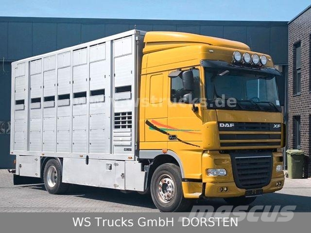 DAF XF 410 SC Menke Doppelstock Tiertransporter