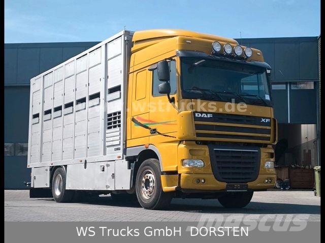DAF XF 410 SC Menke Doppelstock Tiertransporter