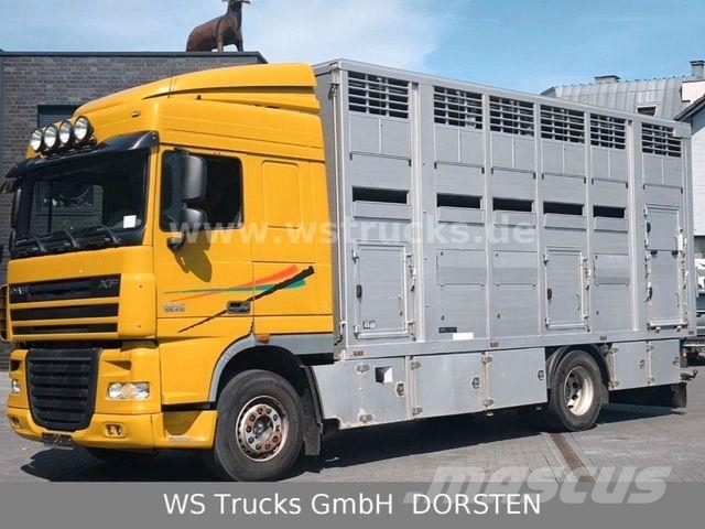 DAF XF 410 SC Menke Doppelstock Tiertransporter
