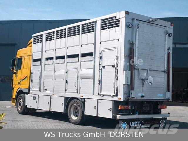 DAF XF 410 SC Menke Doppelstock Tiertransporter