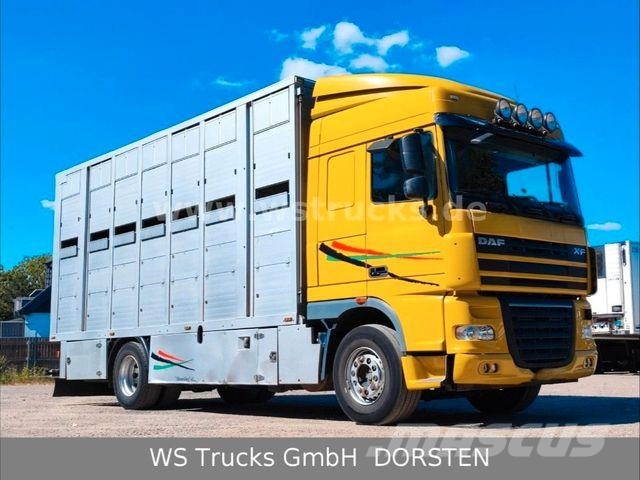 DAF XF 410 SC Menke Doppelstock Tiertransporter