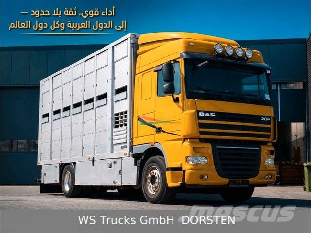 DAF XF 410 SC Menke Doppelstock Tiertransporter