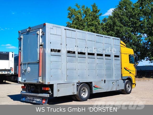 DAF XF 410 SC Menke Doppelstock Camiones para transporte de animales