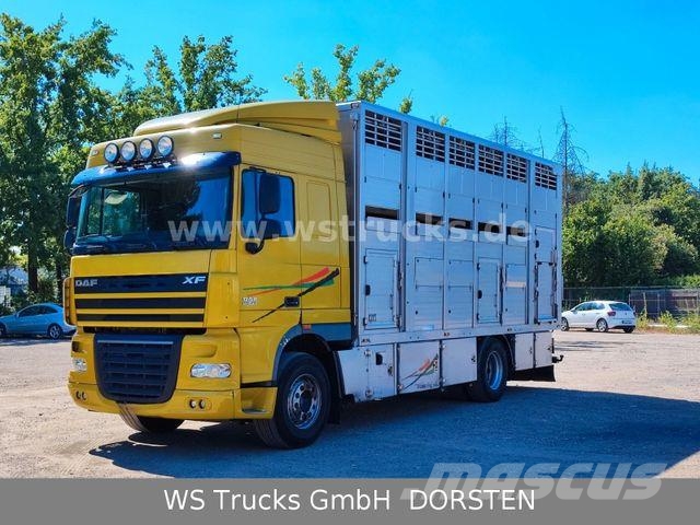 DAF XF 410 SC Menke Doppelstock Camiones para transporte de animales