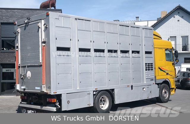 DAF XF 410 SC Menke Doppelstock Camiones para transporte de animales