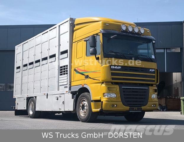 DAF XF 410 SC Menke Doppelstock Camiones para transporte de animales