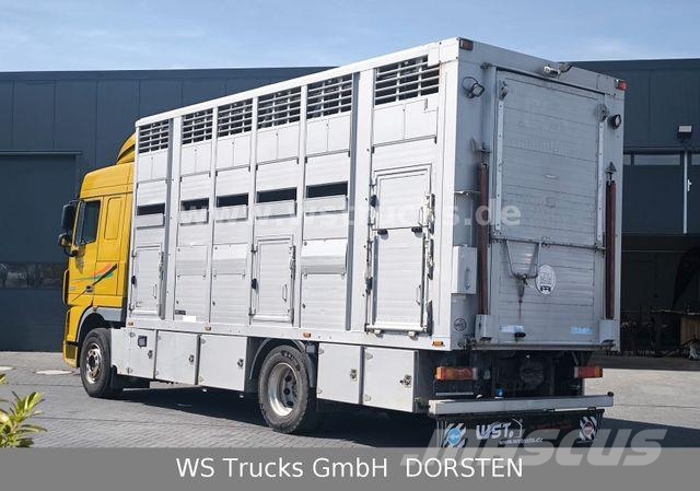 DAF XF 410 SC Menke Doppelstock Camiones para transporte de animales