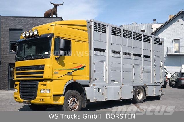 DAF XF 410 SC Menke Doppelstock Camiones para transporte de animales