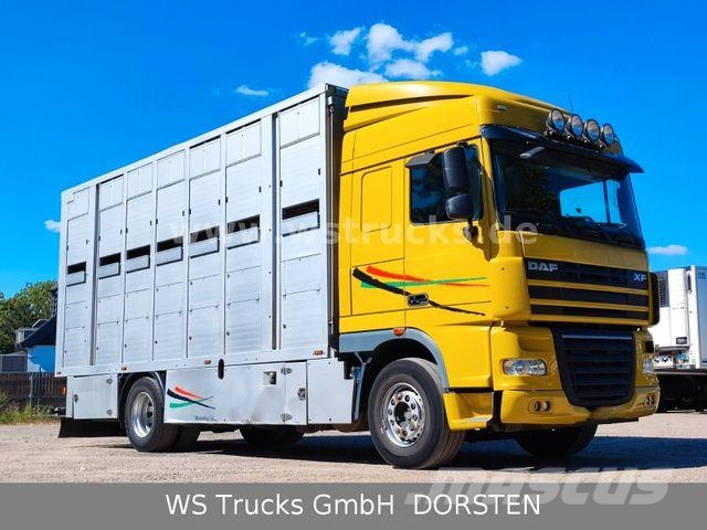 DAF XF 410 SC Menke Doppelstock Camiones para transporte de animales