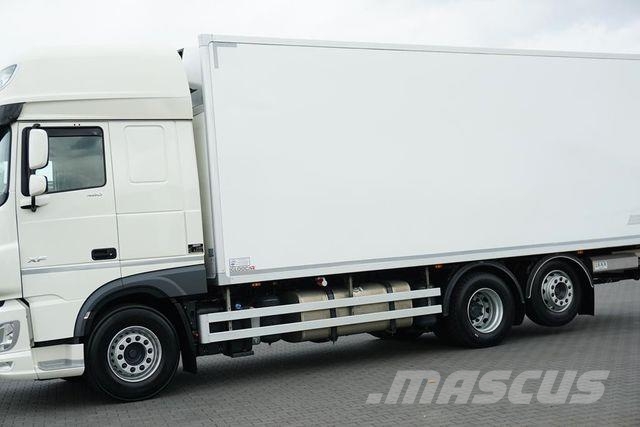 DAF XF 480 / E 6 / ACC / CHŁODNIA + WINDA / 18 PALET شاحنات بدرجة حرارة قابلة للضبط
