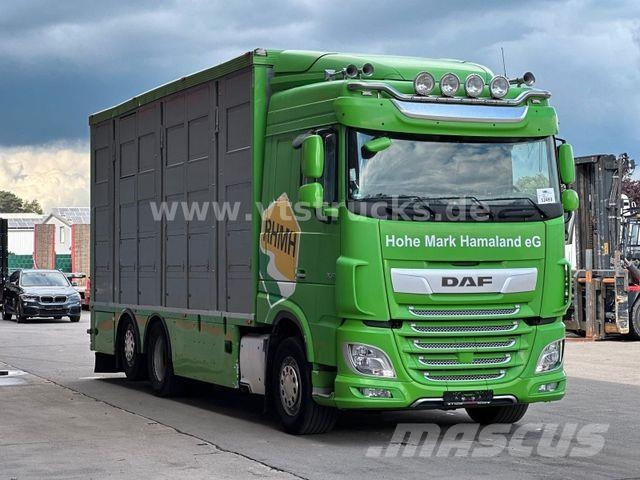DAF XF 480 LL 6x2 3.Stock Menke Viehwagen m. Hubdach Tiertransporter