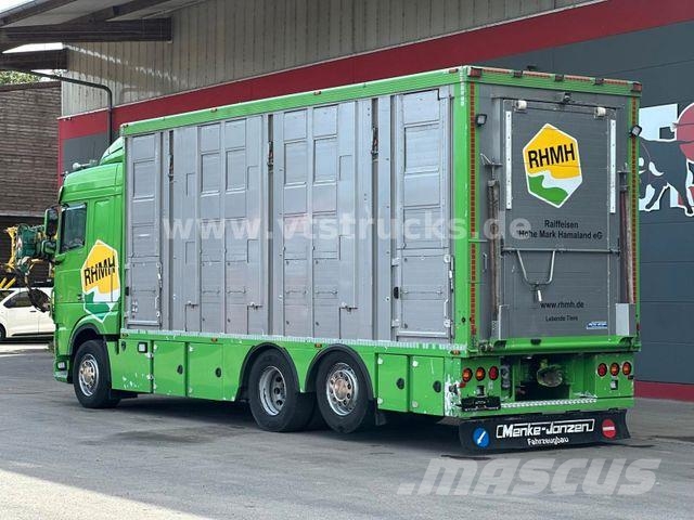 DAF XF 480 LL 6x2 3.Stock Menke Viehwagen m. Hubdach Tiertransporter