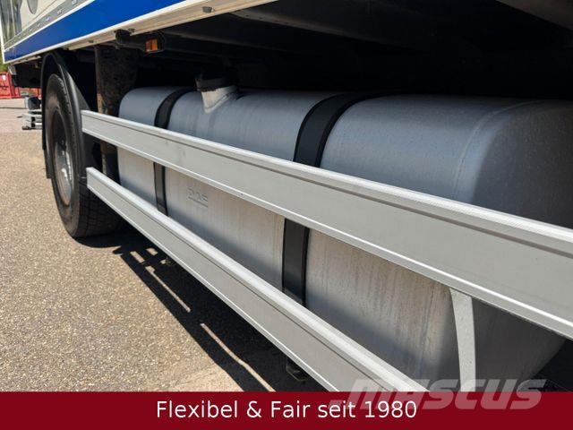 DAF XF 480 SSC,Spier 7,30m.,Bär LBW,AHK40,guter Zust Fast kasse