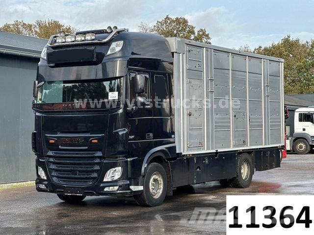 DAF XF 530 4x2 Finkl 2.Stock Viehaufbau 动物运输货车