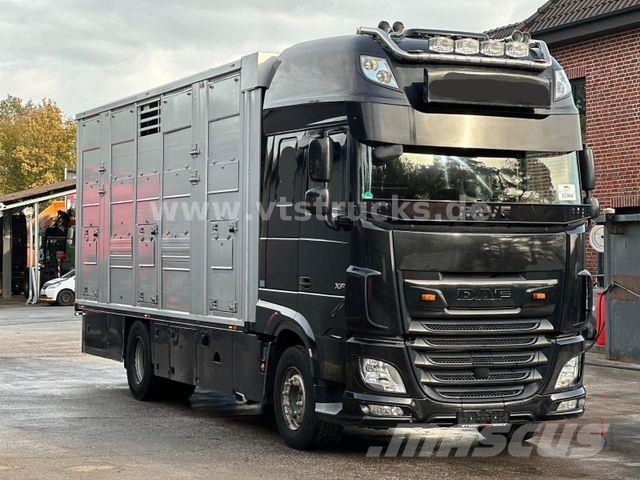 DAF XF 530 4x2 Finkl 2.Stock Viehaufbau 动物运输货车