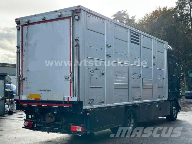 DAF XF 530 4x2 Finkl 2.Stock Viehaufbau 动物运输货车