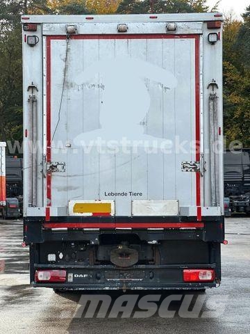 DAF XF 530 4x2 Finkl 2.Stock Viehaufbau 动物运输货车