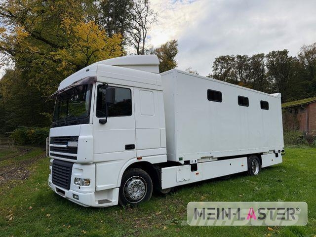 DAF XF 95 380 Pferdetransport 9 Pferde 2x Rampen Tiertransporter