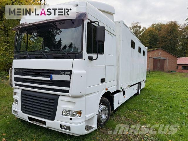 DAF XF 95 380 Pferdetransport 9 Pferde 2x Rampen Tiertransporter