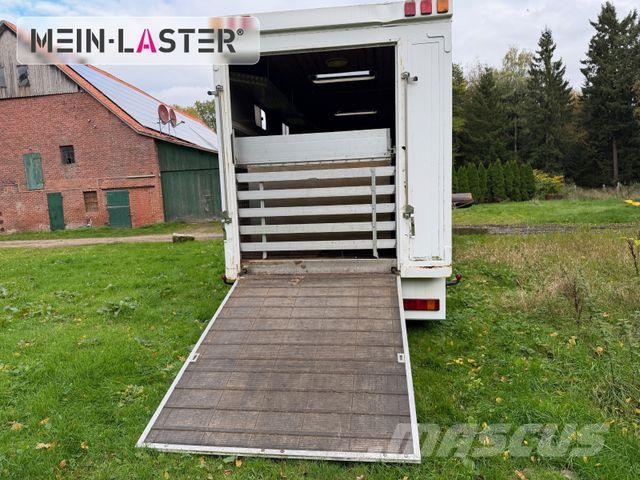 DAF XF 95 380 Pferdetransport 9 Pferde 2x Rampen Tiertransporter