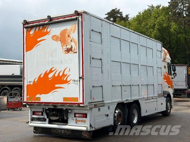 DAF XF460FT 6x2 BL EU6 3.Stock I.R.M.A/Ladelift/ACC Camion per trasporto animali