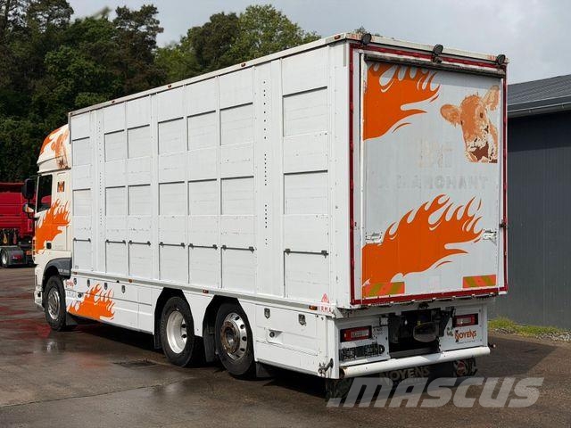 DAF XF460FT 6x2 BL EU6 3.Stock I.R.M.A/Ladelift/ACC Camion per trasporto animali