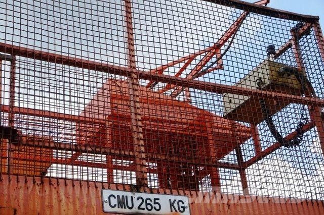 Lama Rail Road Platform Schienen TWO WAY GEISMAR Auto korpe