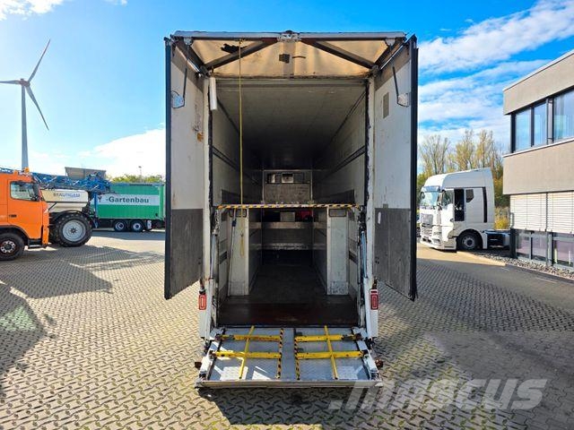 Langendorf SDF | Alu-Felgen | Doppelstock | Ladebordwand Hladilne polprikolice