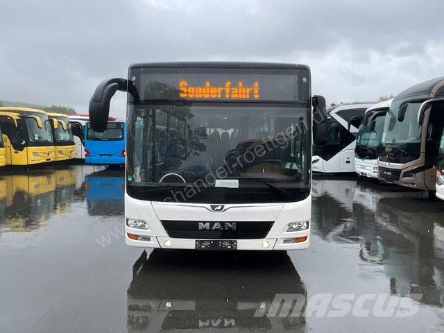 MAN A 20 Lions City Ue/A20/A21/O 530 Citaro Überlandbusse