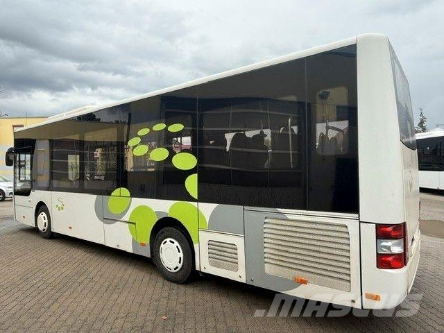MAN Midi 66 K 12/14 KLIMA EURO 6 3-Punkt-Gurte Autobuses interurbano
