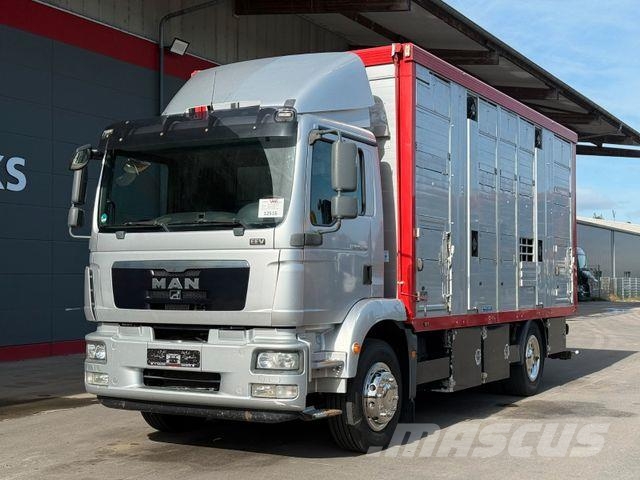 MAN TGM 18.340 !!!!! 278000 KM !!!! Dzīvnieku pārvadāšanas transports