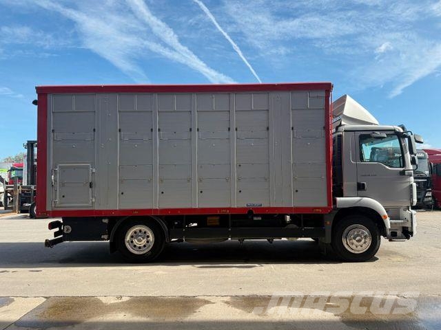 MAN TGM 18.340 !!!!! 278000 KM !!!! Dzīvnieku pārvadāšanas transports