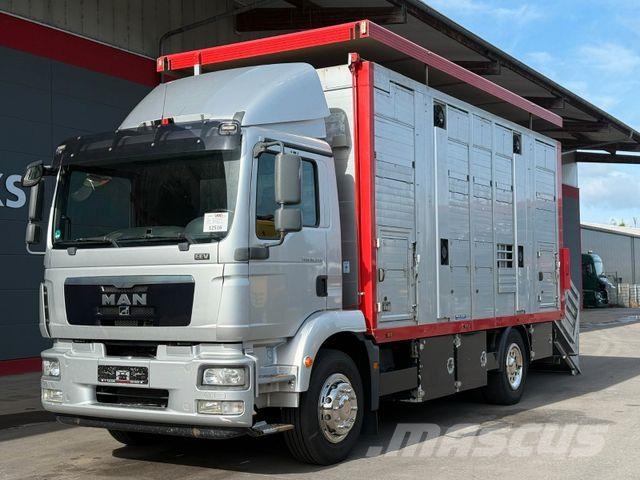 MAN TGM 18.340 !!!!! 278000 KM !!!! Dzīvnieku pārvadāšanas transports
