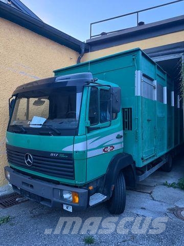 Mercedes-Benz 817L D VIEHLKW FÜR 7 KÜHE Hayvan nakil kamyonlari