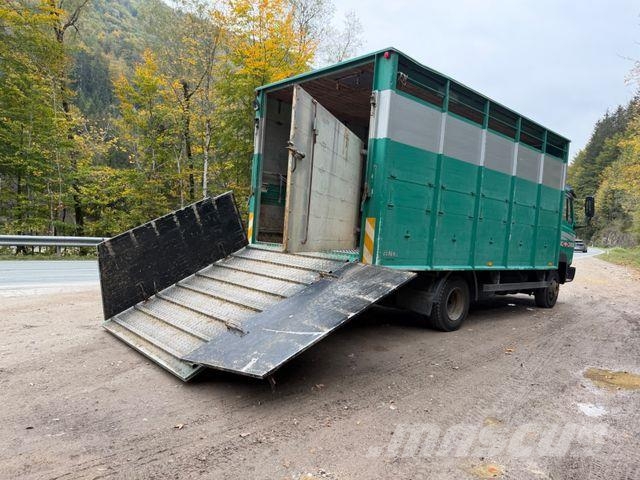 Mercedes-Benz 817L D VIEHLKW FÜR 7 KÜHE Dieren transport