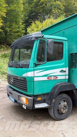 Mercedes-Benz 817L D VIEHLKW FÜR 7 KÜHE Dieren transport