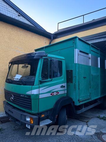 Mercedes-Benz 817L D VIEHLKW FÜR 7 KÜHE Hayvan nakil kamyonlari