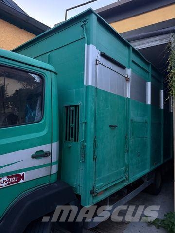 Mercedes-Benz 817L D VIEHLKW FÜR 7 KÜHE Hayvan nakil kamyonlari