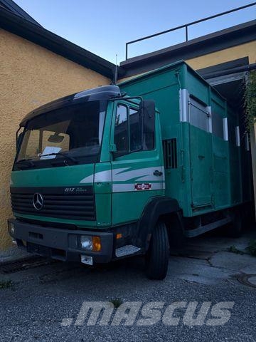 Mercedes-Benz 817L D VIEHLKW FÜR 7 KÜHE Hayvan nakil kamyonlari