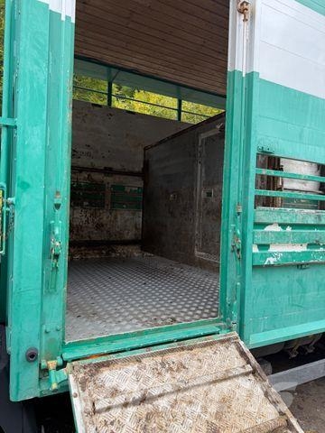 Mercedes-Benz 817L D VIEHLKW FÜR 7 KÜHE Dieren transport