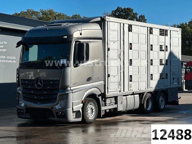 Mercedes-Benz Actros 2545 6x2 LL 4.Stock Menke Hubdach Tränke Dyretransport