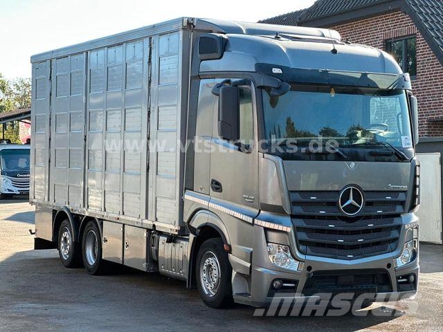 Mercedes-Benz Actros 2545 6x2 LL 4.Stock Menke Hubdach Tränke Dyretransport