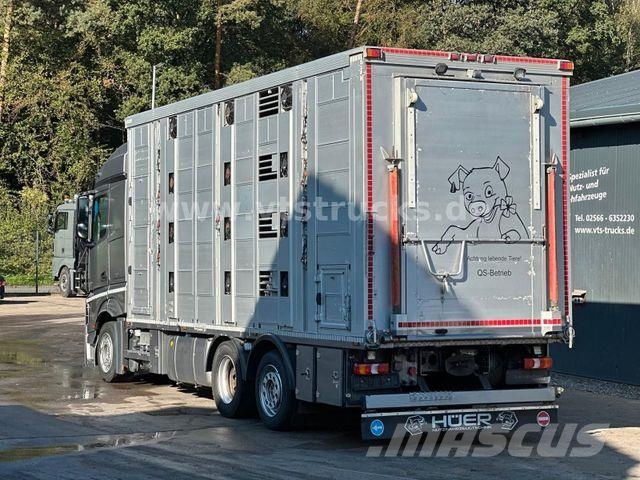 Mercedes-Benz Actros 2545 6x2 LL 4.Stock Menke Hubdach Tränke Dyretransport