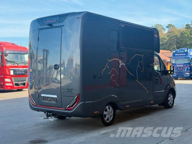 Mercedes-Benz SODIAK HORSE 2 Pferde Luxus Sprinter Dzīvnieku pārvadāšanas transports
